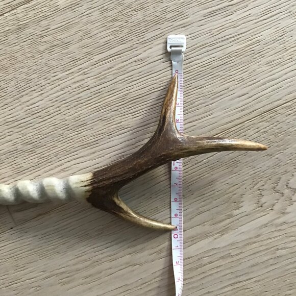 Roe deer antler twisted hair stick - Hand-carved - Picture 8 of 9